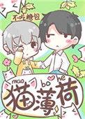 猫薄荷在星际当团宠