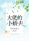 大佬的小娇夫 金盏子