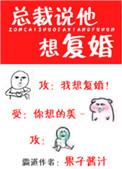 总裁想复婚免费阅读