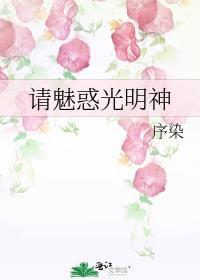 请魅惑光明神畅读