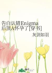 告白认错Enigma后A怀孕简介