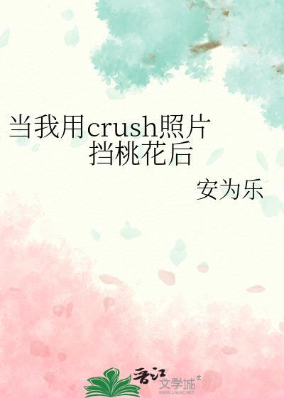 当我用crush照片挡桃花后 本书作者 安为乐