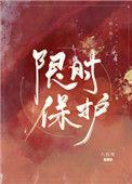 限时保护罩