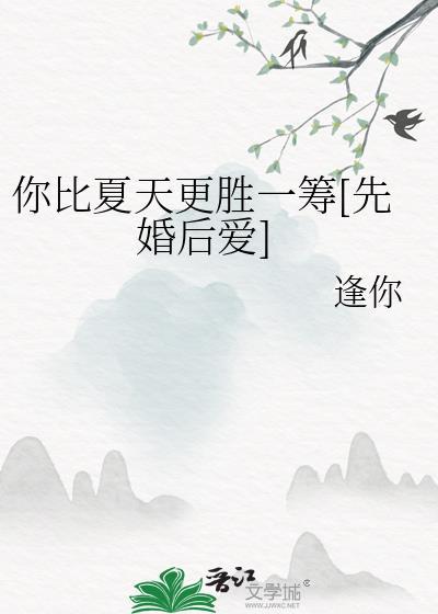 你比夏天更热烈全文免费阅读叶