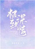 极致深情在线阅读
