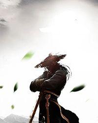 小娘子全文免费阅读