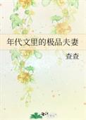年代文里的极品夫妻作者茶茶免费全文阅读