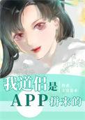 我道侣是APP拼来的TXT