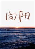 向阳花演员表