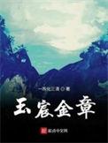 玉宸金章 顶点