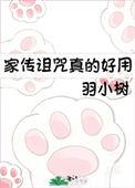 家传诅咒真的好用by羽小树