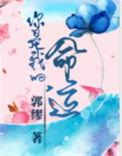 你是我的命运林允儿版