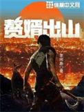 屠龙归来赘婿出山