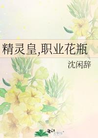 精灵的职业