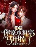 你家小祖宗马甲掉了资源
