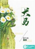 龙虎战边关