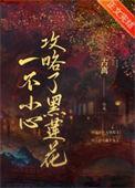 一不小心攻略了起点男主
