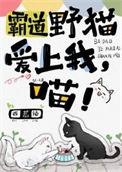 霸道野性男主是谁