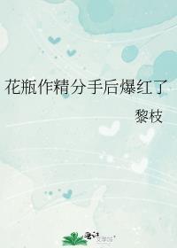 花瓶 文