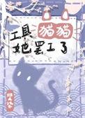 猫猫工具箱wz