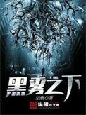 黑雾之下复仇者职业