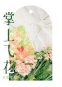 掌上花怎么用不了