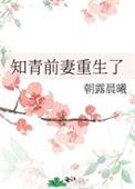 知青前妻重生了免费完整版