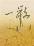 一粒丸是什么药