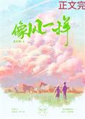 像风一样离去电视剧