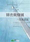 锦衣裁缝铺讲的什么
