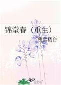 锦堂春重生表兄妹