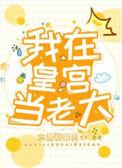 我在皇宫当巨匠