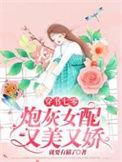 书穿灰炮女配在七零年
