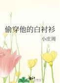偷穿他的白衬衫正文免费阅读