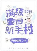 满级boss闯荡新手村