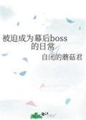 被迫成为幕后boss的日常简介