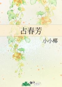 占春芳讲的什么故事