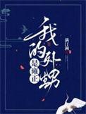 我的外甥的故事