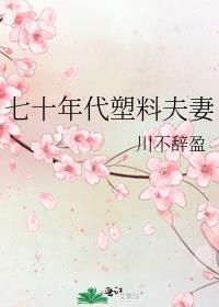 七零年代塑料夫妻晋江