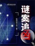 谜案追凶简介