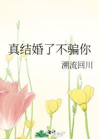 真结婚了不骗你by溯流回川笔