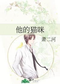 他的猫great