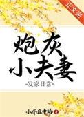 炮灰小夫妻发家日常全本