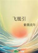 飞凰引 紫微流年