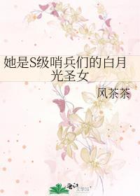 她是s级哨兵们的白月光圣女格格党
