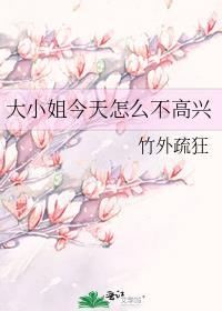 大小姐今天怎么不高兴作者 竹外疏狂