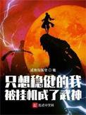 只想稳健的我被挂机成了武神全文阅读
