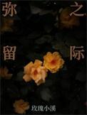 在我弥留之际