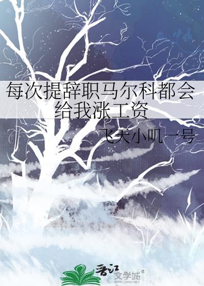每次提辞职马尔科都会给我涨工资全文阅读txt
