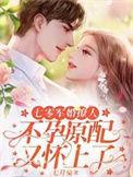 七零 军婚